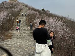 -龙泉峪长城