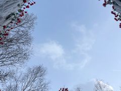 -长春世界雕塑园冰雪艺术天地