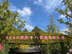 -汇龙潭