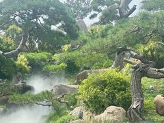 -罗红摄影艺术馆