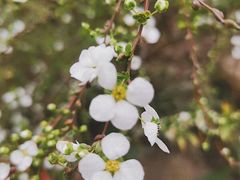 -杭州城北体育公园