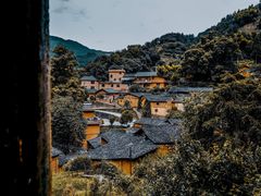 -杨家堂村