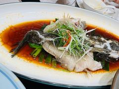 清蒸笋壳鱼-新南华大酒店(广中店)