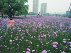 -杭州城北体育公园