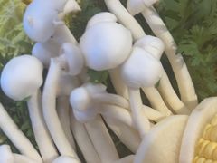 -椰子湾·海南火锅·糟粕醋·椰子鸡(正大广场店)