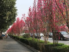 -钢管厂五区小郡肝串串香(奥克斯广场锦城万达店)