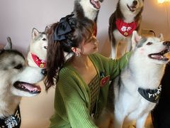 -Husky Go! 哈士奇体验馆·宠物咖啡厅狗咖
