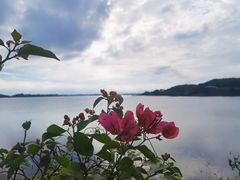 -露天矿生态公园