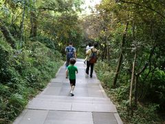 -上海佘山国家森林公园西佘山园