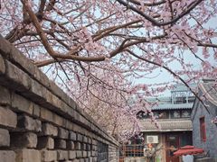 -三里河公园