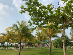 -三亚亚龙湾天域度假酒店