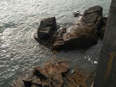 -枸杞岛