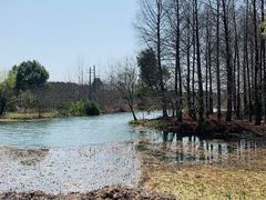 -梁鸿国家湿地公园