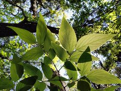 -昆明市金殿名胜区