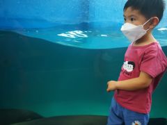 -成都浩海立方海洋公园