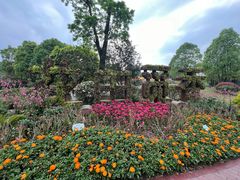 -铁山坪森林公园