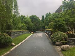 -逸林轩中餐厅(中信泰富朱家角锦江酒店)