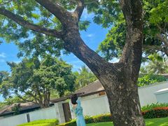 -石梅湾艾美度假酒店