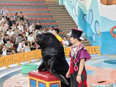 -海合安武汉极地海洋公园