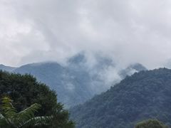 -关山草原