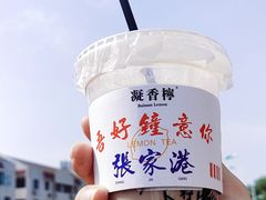 -张家港华芳金陵国际酒店