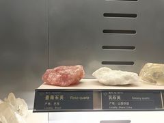-中国地质博物馆