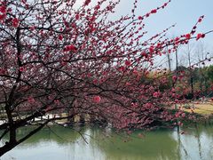 -白塘生态植物园