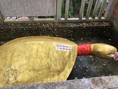 -石燕湖生态旅游景区