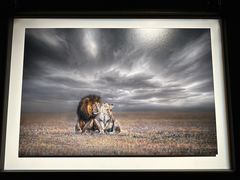 -罗红摄影艺术馆