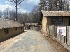 -横道河子东北虎林园