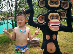 -苏州乐园森林水世界