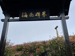 -大围山国家森林公园