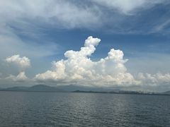 -深圳湾公园(南山区)