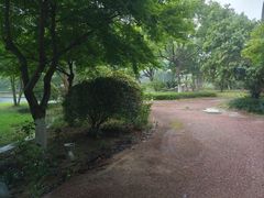 -常州奔牛国际机场