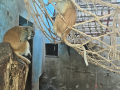 -青藏高原野生动物园