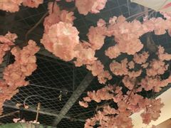 -九田家黑牛烤肉料理(华侨城店)