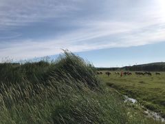 -草原天路(张北县)