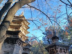 -潭柘寺景区