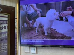 -宠爱国际动物医院·疑难骨科·心肾内科·皮肤科(太阳宫店)