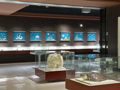 -青岛贝壳博物馆