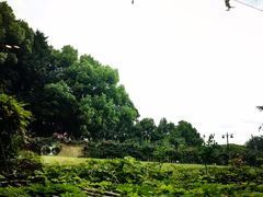 -潮府馆·非遗潮州菜·港式点心(世纪公园店)