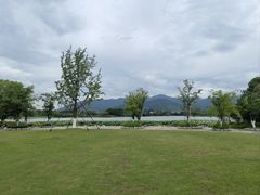 -长田漾湿地公园