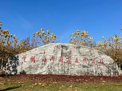 -上海海湾国家森林公园