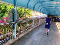 -海口市第一中学