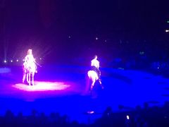 -珠海横琴长隆《卡卡虎奇遇记》