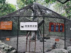 -南湾猴岛+椰田古寨一日游