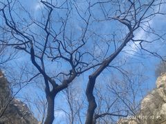 -北京凤凰岭