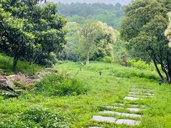 -苏州吴中太湖旅游区