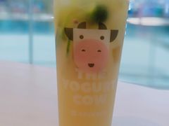 -一只酸奶牛(双流万达广场店)