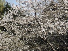 -星湖街(地铁站)